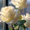 user2420658121996