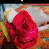 alone.girl4691