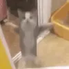 yubrdbadhj