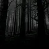hannah_moonlight0