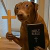 holytoxicwater