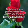 mal.lamu
