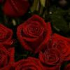 zahra.abass27