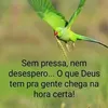 joo.chaves.colao