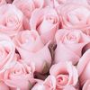 user_user777_2