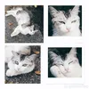 _annyeong._name_24