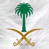 kfo2030ksa