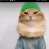 natoydpinili0