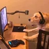 deimian.gameplays