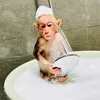 Monkey Bibi