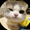 pabida_123