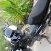 jokiy282