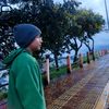 mr_pollitoff