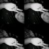 estwfani4