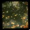 tranvanquang05a