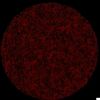 scarlet_br14
