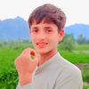 zarshadali6944