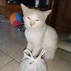 shila121_