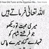 pak.army.ka.ladla