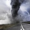 Disaster World