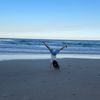 maddi3564