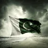 fatimashehzadi6208