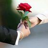 🌹{رحًيَقُ آلَوٌردٍ} 🌹
