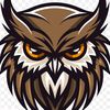 owl.team1