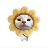 _ng.lanh_2411