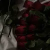 venera_760