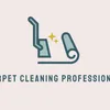 carpet.cleaning.pr