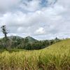 anaksungai57