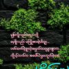 kaung.s09