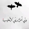 user891177507