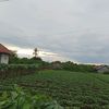 rehan.saputra438