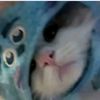 alesh1234_.a