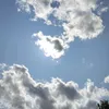 anzukz_81