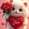 hanan.elkhalily