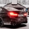shashki_mane