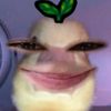 katak_airr