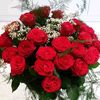 md.alamgir0059