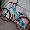 nicolau244011