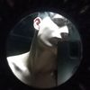 iliya_jaf88