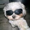 mala_boo0