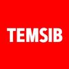 เต็มสิบ TEMSIB