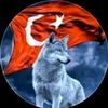 mubariz0872