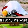 mehdiya298
