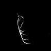 mahmood.mhmmad6