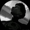 snayder_th_dl