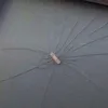 alobatpjiat